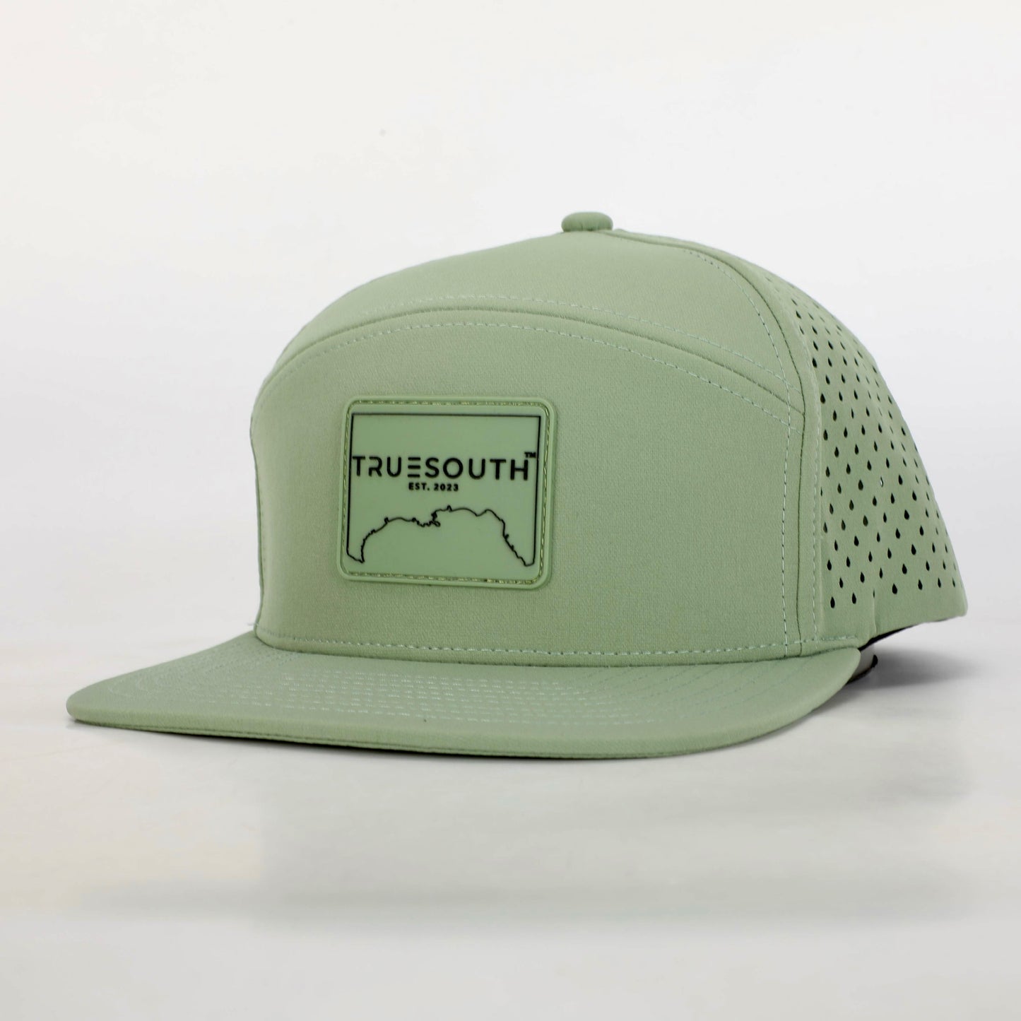 TS Performance Hat